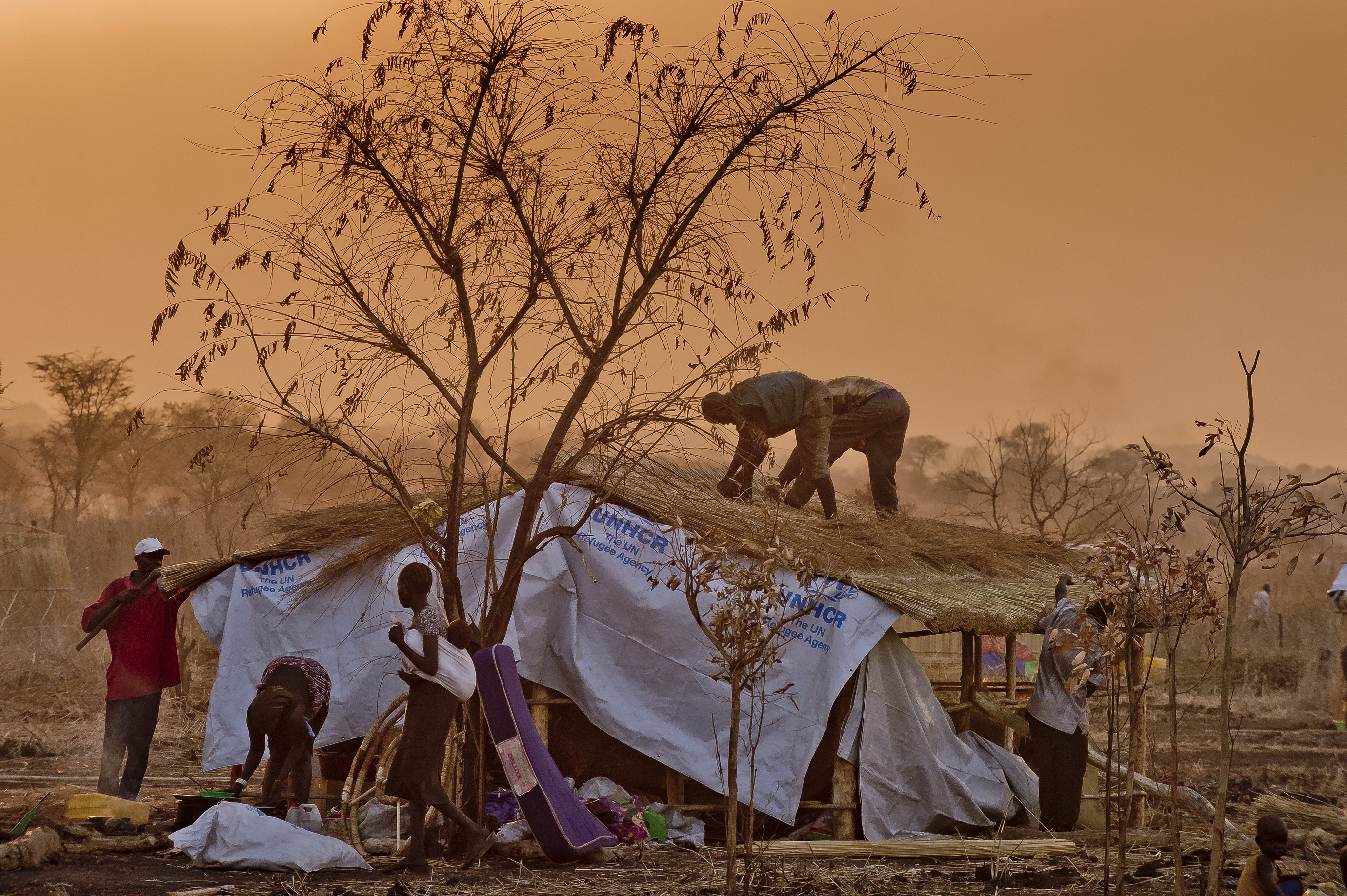 ©UNHCR-  F. NOY